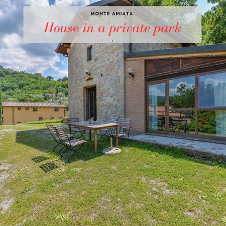 3 Charming Private Home With Pool, Bbq, Wi-Fi & Free Parking Castel del Piano (Tuscany) Exterior photo